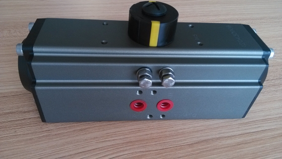 Automazione industriale Pneumatica e Pinion Actuator per angolo di rotazione 0-90 gradi