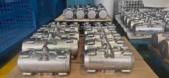 Attuatore pneumatico in acciaio inossidabile per ambiente resistente alla corrosione