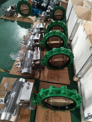 Marine Air Operated Butterfly Valve 316SS per la piattaforma di produzione dell'acqua di mare