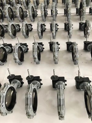 Valvola a farfalla tipo Lug da 150 libbre con disco in bronzo alluminio