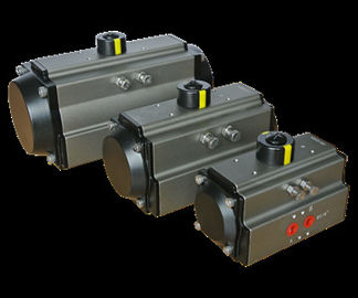 Modulo di controllo marino a doppia azione Attuatore a pignone realizzato in materiale 316SS 304SS