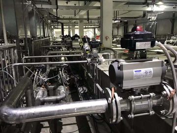 Attuatore pneumatico delle valvole delle condotte in ghisa Pneumatico On Off Valve / Two Way Pneumatic Valve Heavy Duty Type